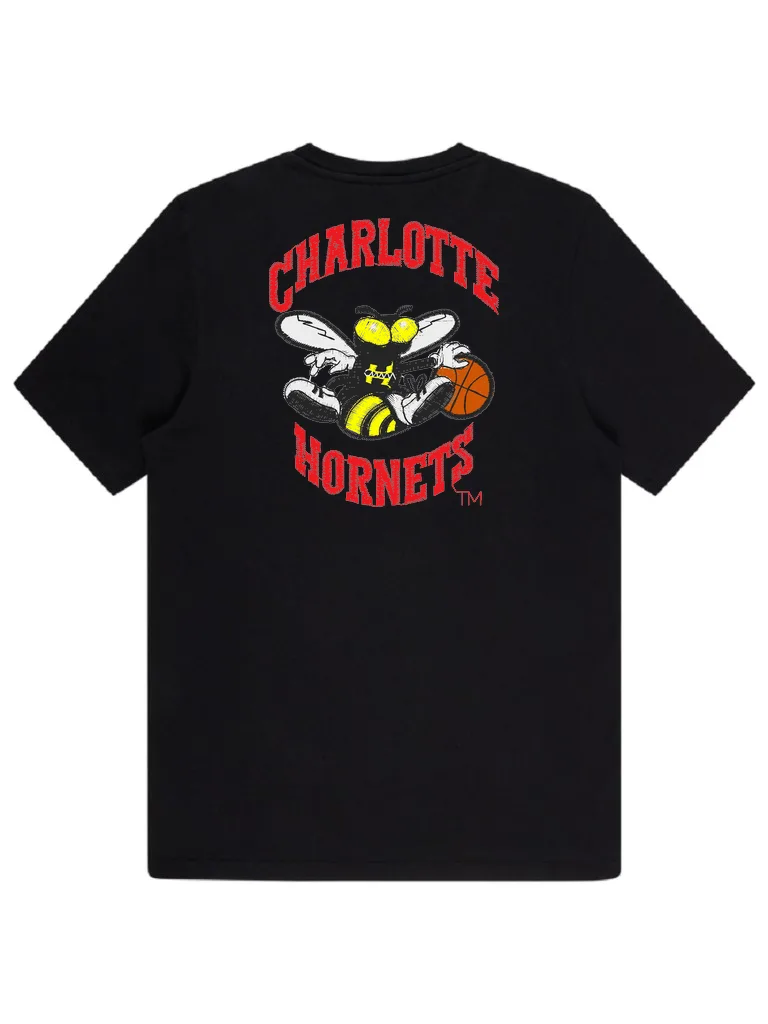 Шеврон Charlotte Hornets (миниатюра 4)