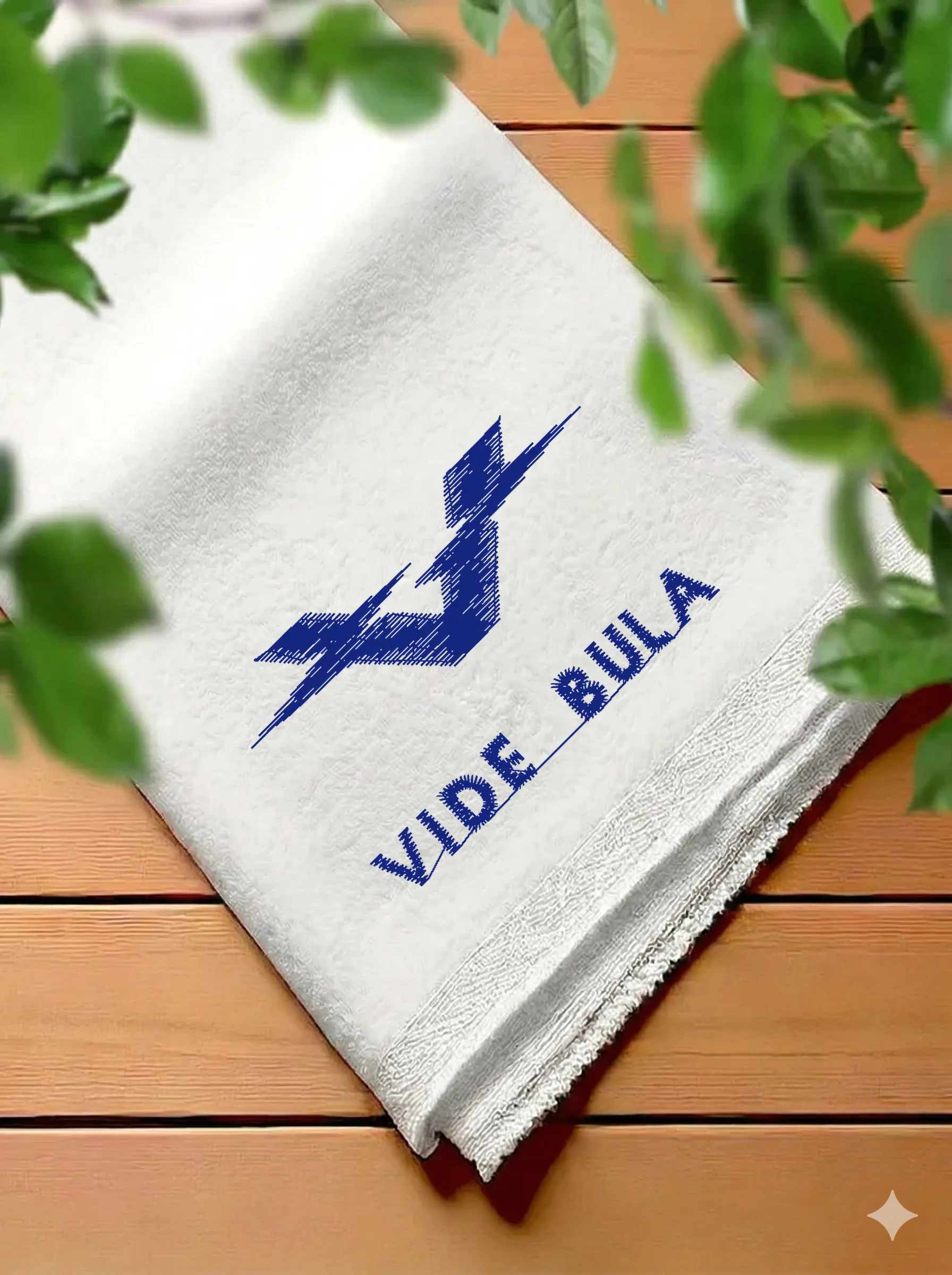 Логотип Vide Bula (миниатюра 7)
