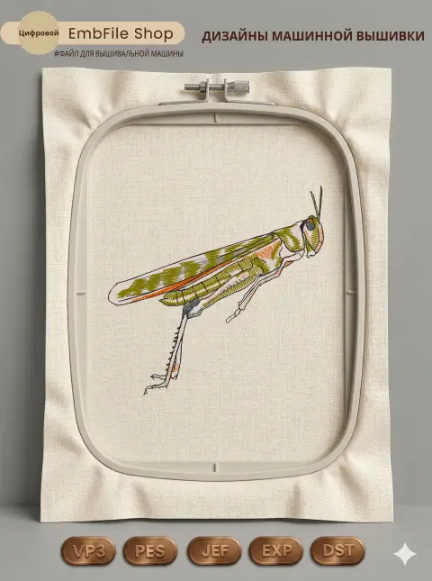 Степной кузнечик