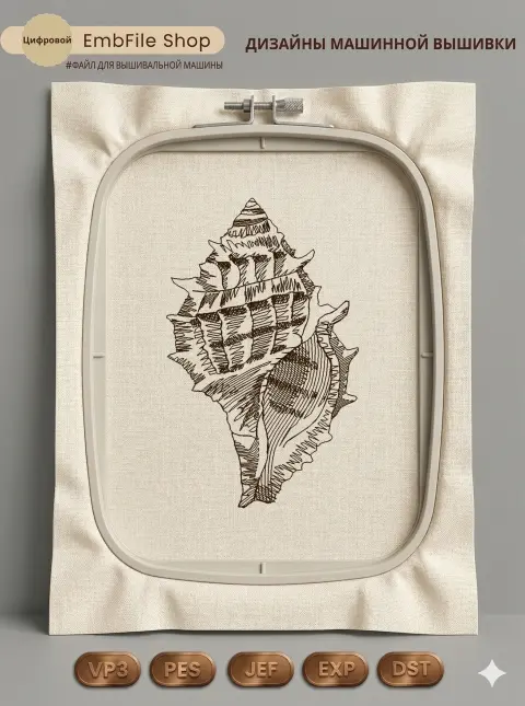 Винтажная морская раковина