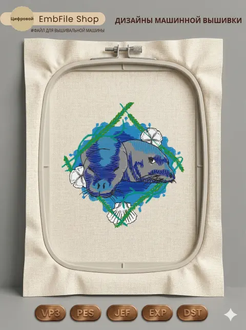 Морские котики