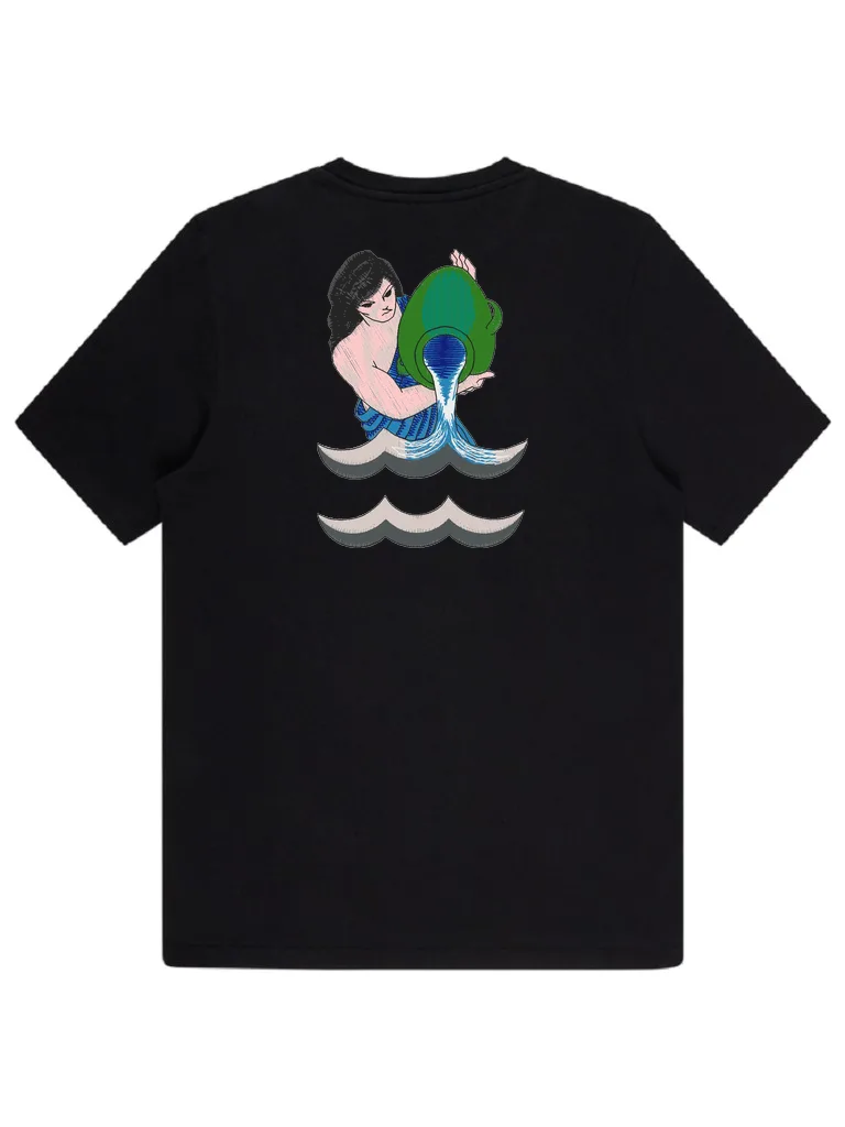 Знак зодиака Водолей (миниатюра 4)