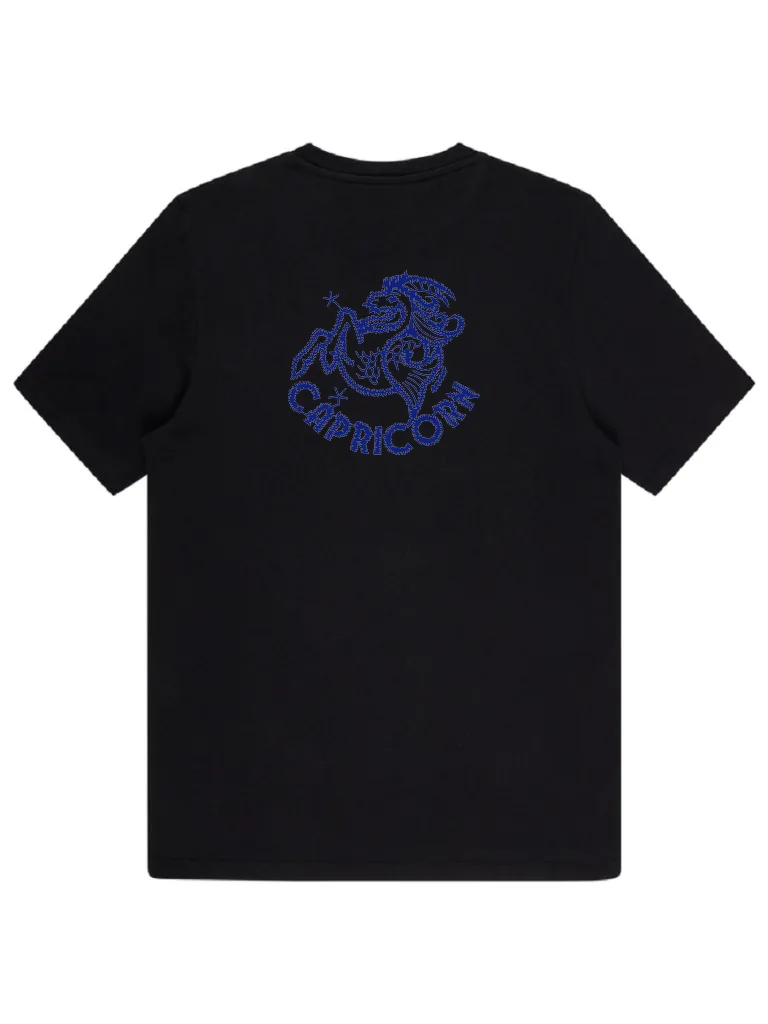 Знак зодиака Козерог (миниатюра 4)