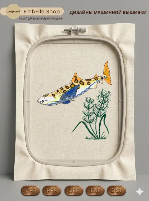 Морская акула и водоросли