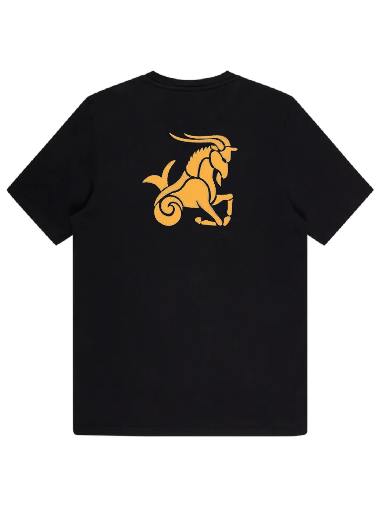 Знак зодиака Козерог (миниатюра 4)