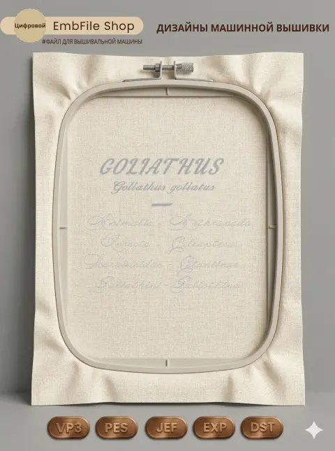 Дизайн машинной вышивки «Латинская надпись Goliathus» (109.4×88 мм)