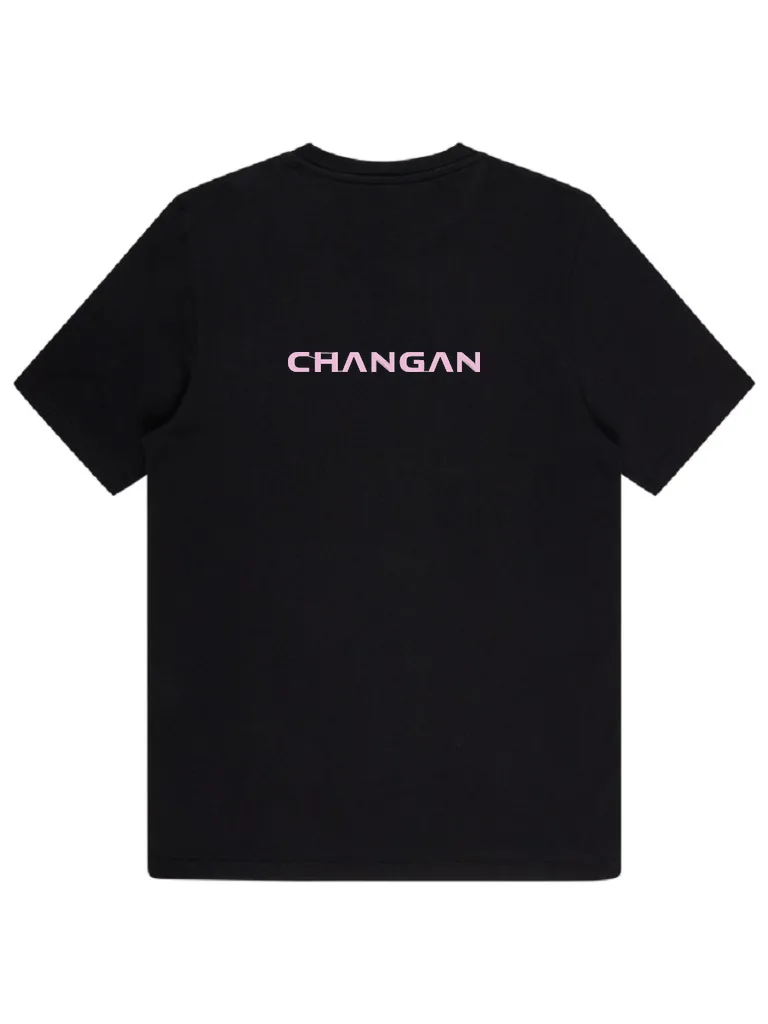Дизайн машинной вышивки «Логотип Changan» (107.4×11 мм) — вид 4