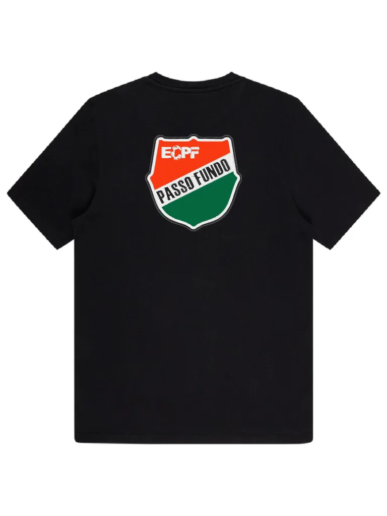 Спортивный герб Passo Fundo (миниатюра 4)