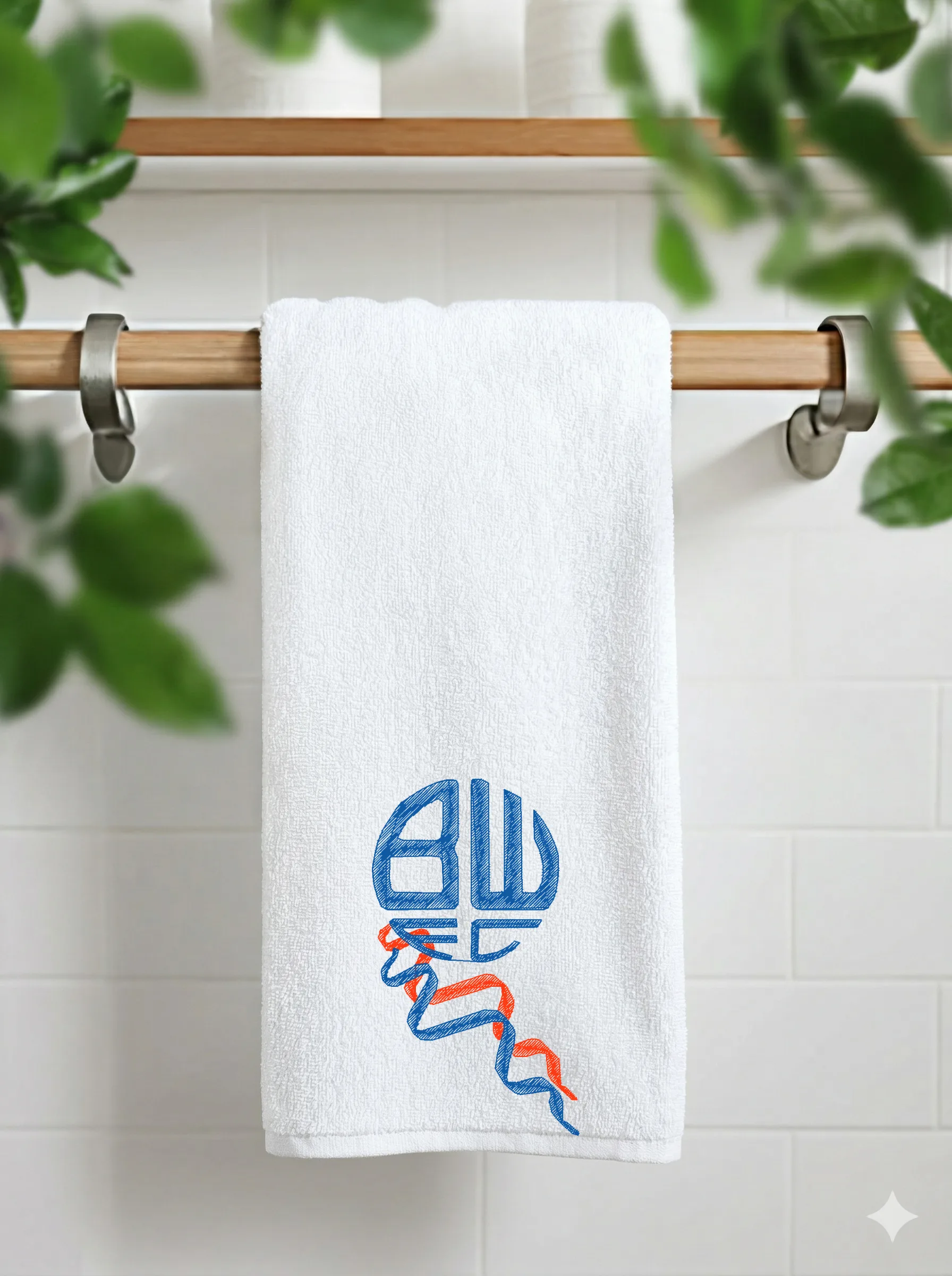 Ретро логотип BWFC (миниатюра 11)